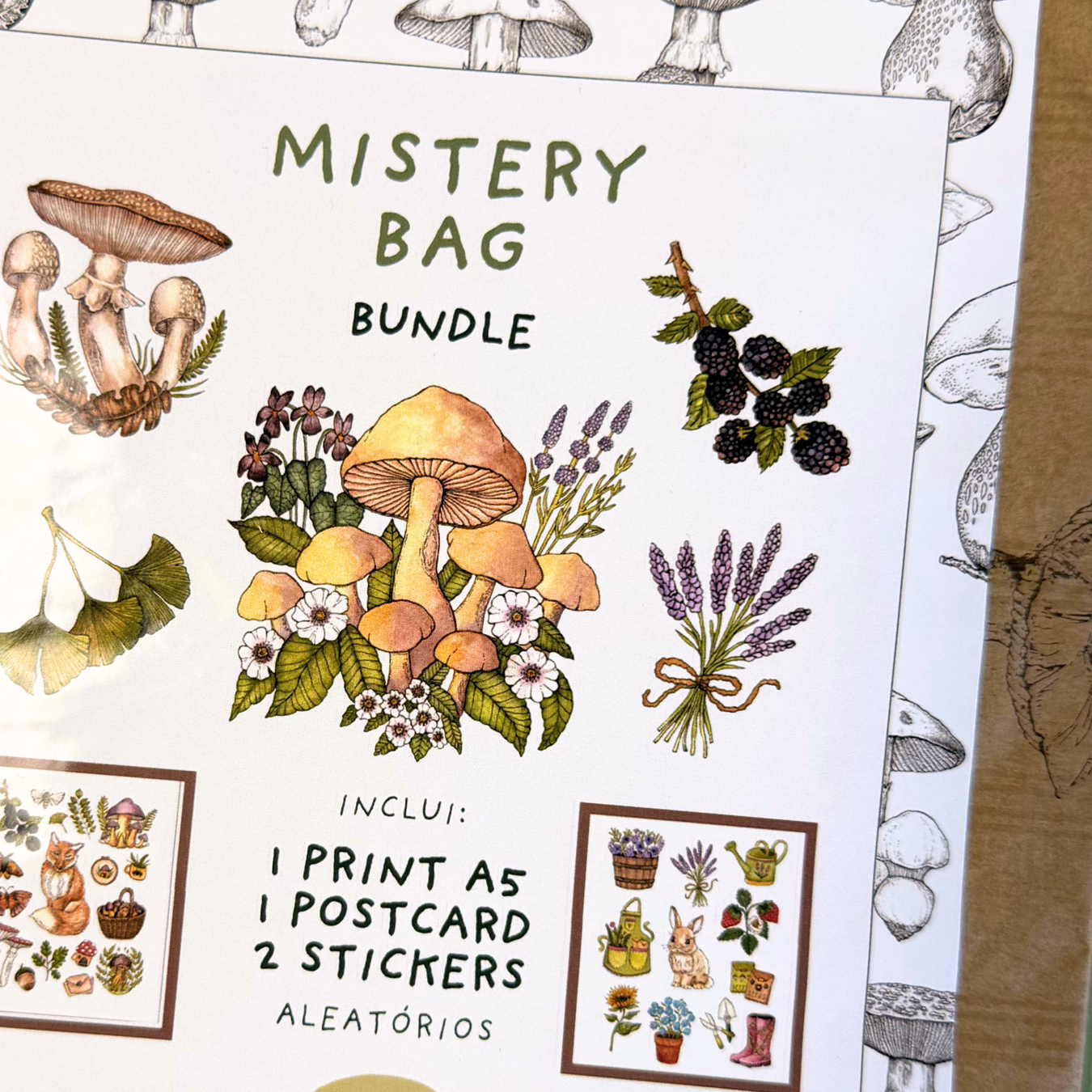 Mistery Bag | 1 Print, 1 Postcard & 2 Stickers