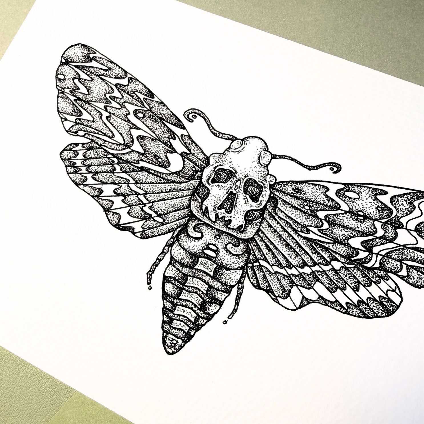 Moth | Print