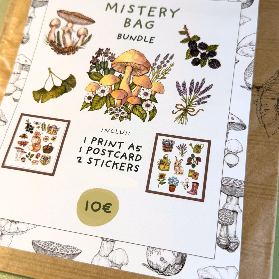 Mistery Bag | 1 Print, 1 Postcard & 2 Stickers