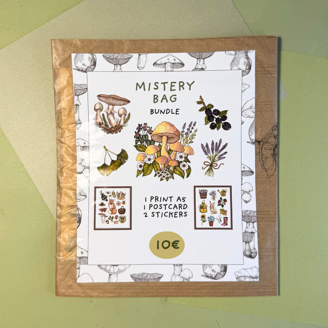 Mistery Bag | 1 Print, 1 Postcard & 2 Stickers