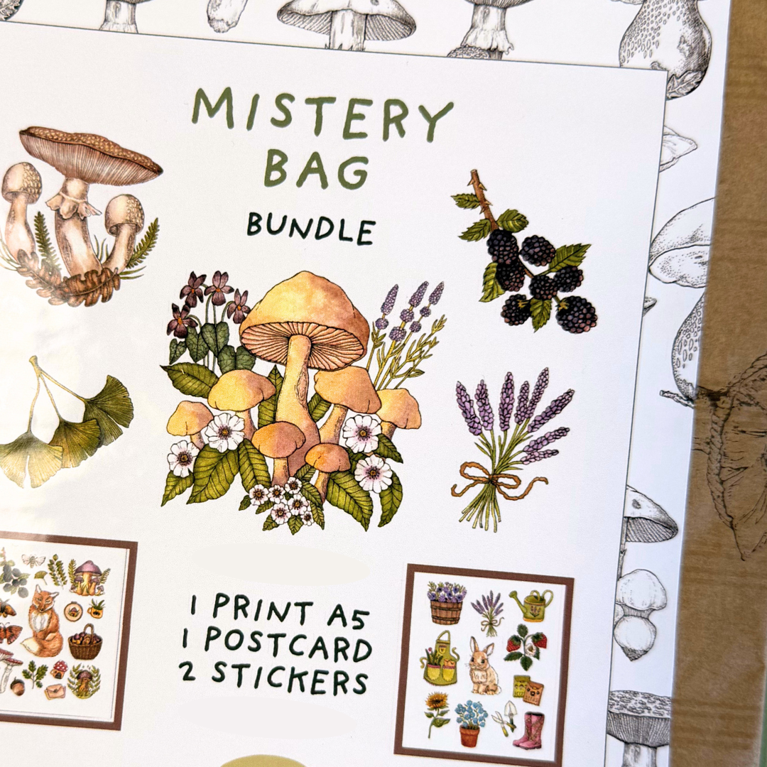 Mistery Bag | 1 Print, 1 Postcard & 2 Stickers