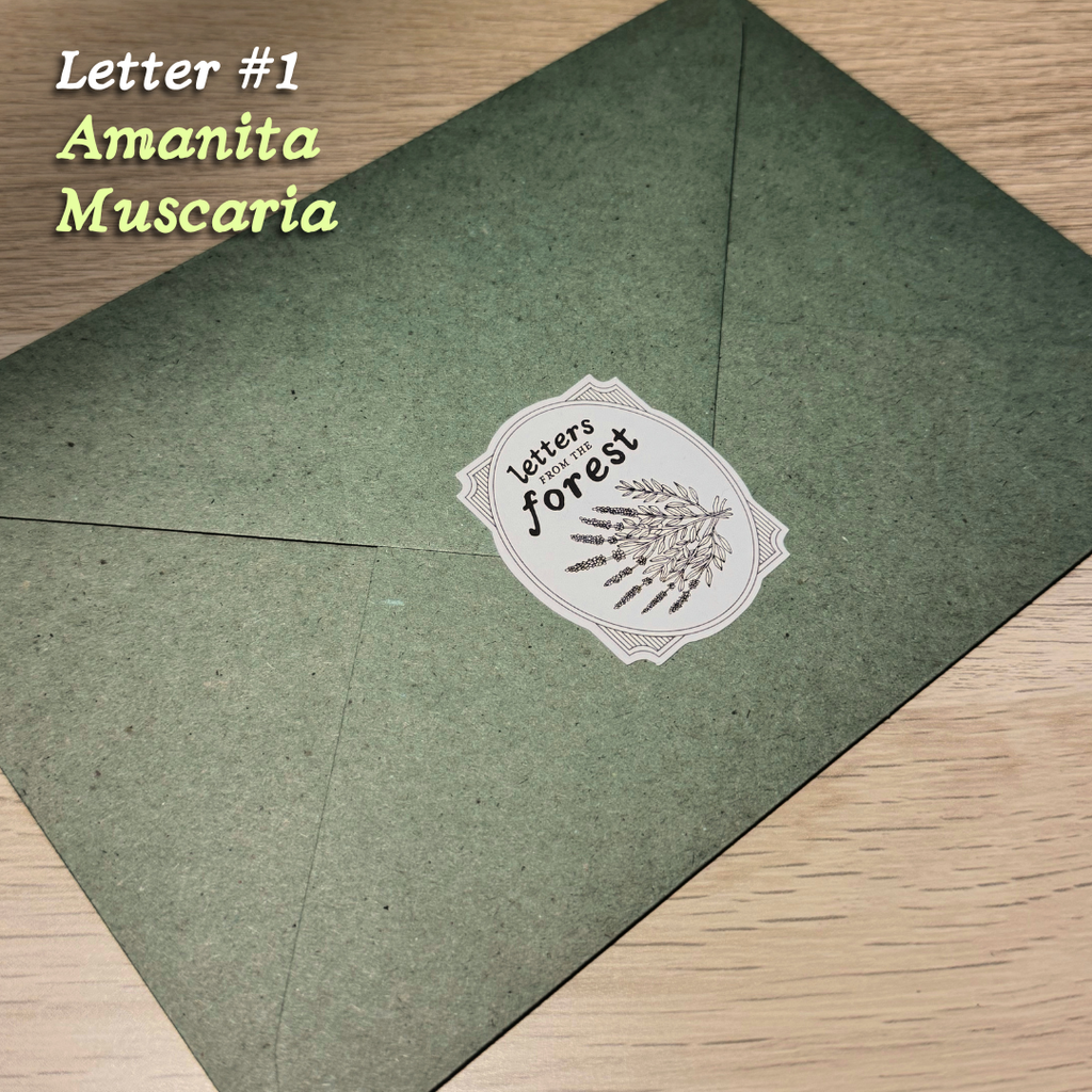 Letters from the Forest 🌿 | Mail Club .✦ ݁˖