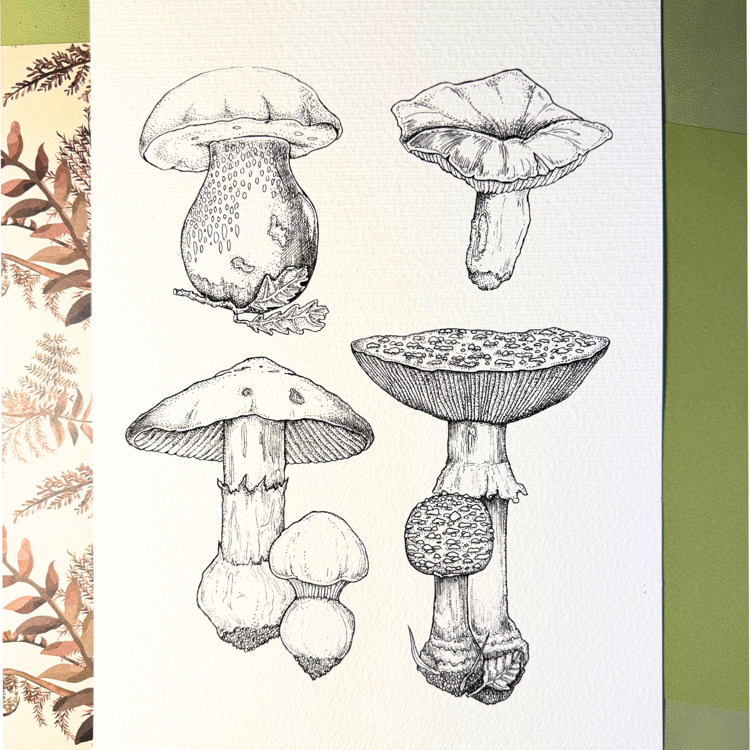Botanical Mushrooms | Print