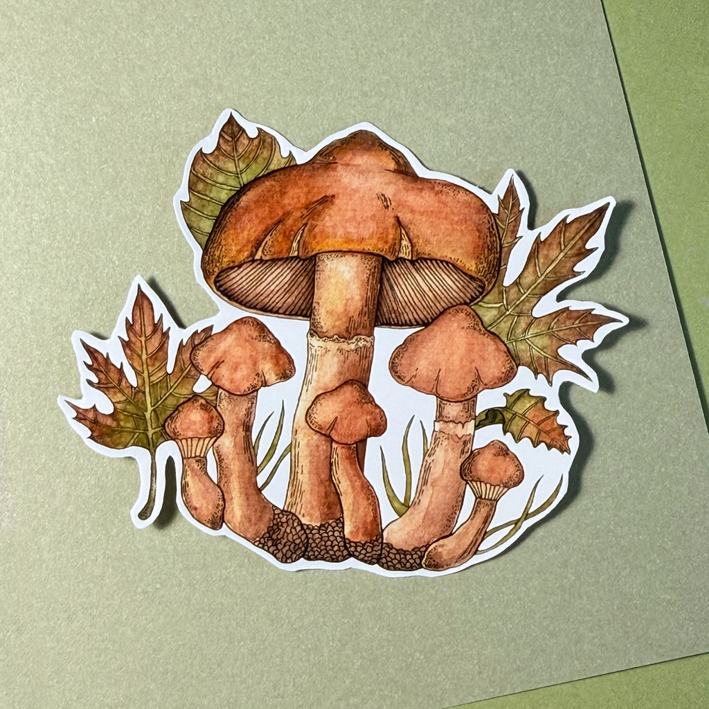 Mushroom Brown | Sticker
