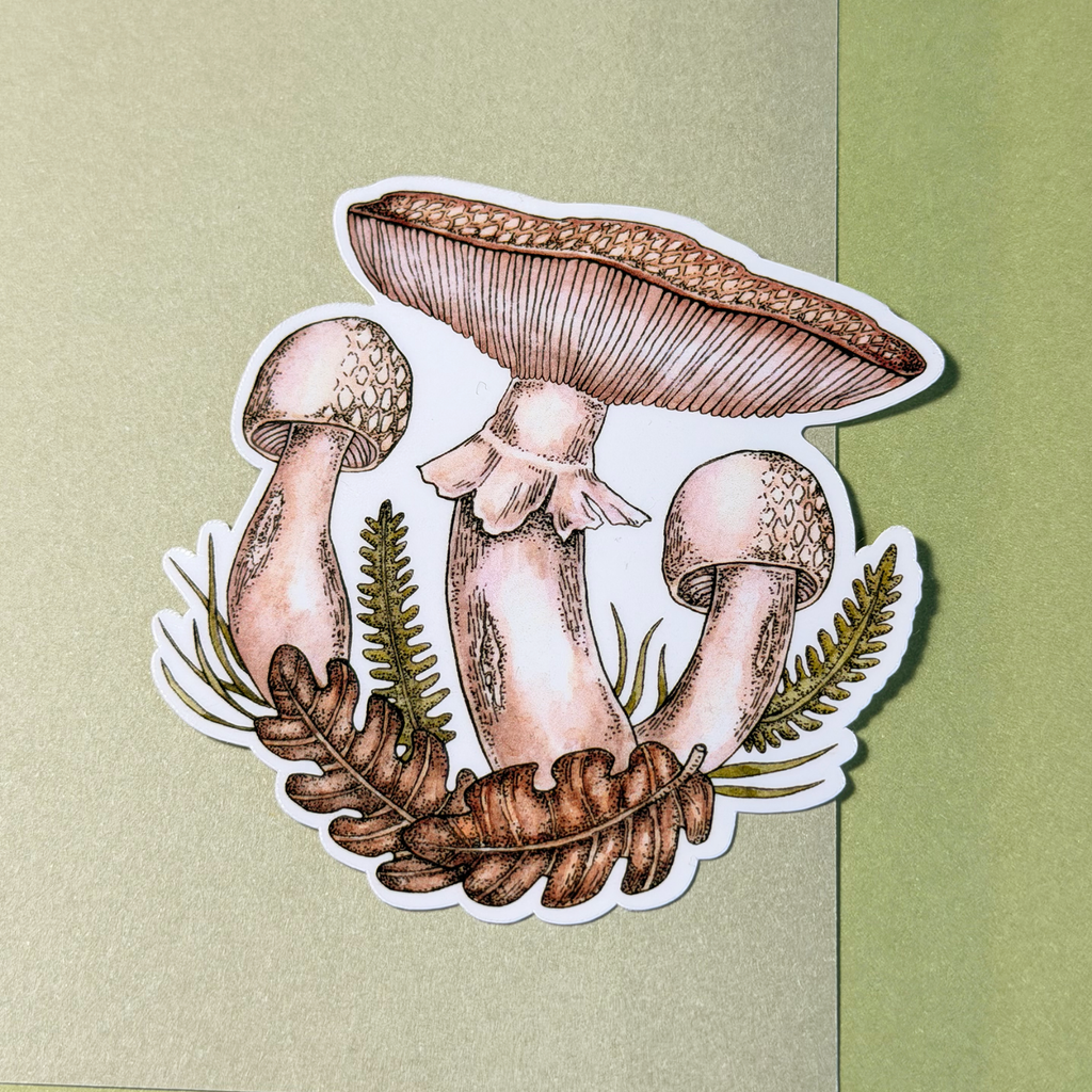 Mushroom | Sticker
