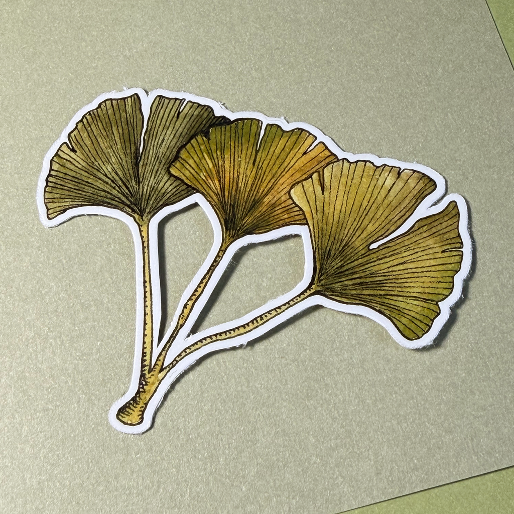 Ginkgo Leaf | Sticker