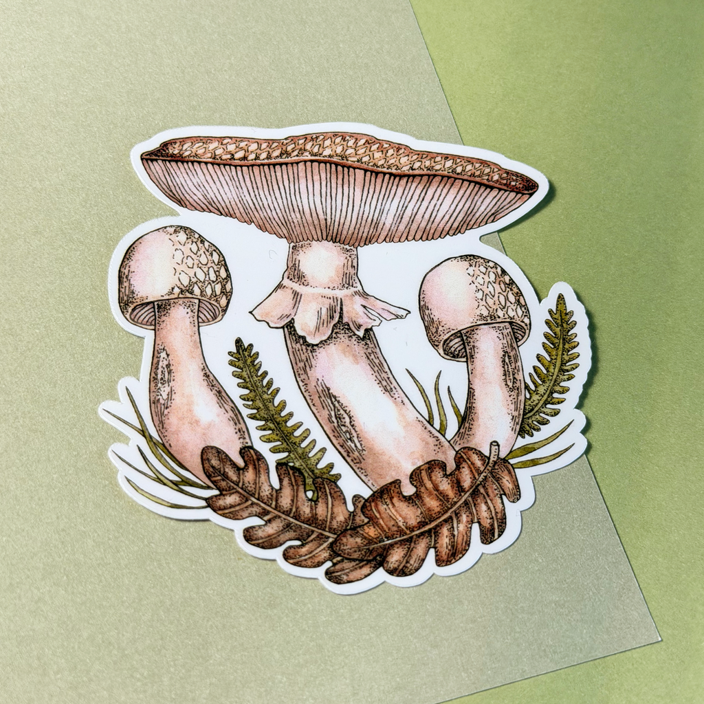 Mushroom | Sticker