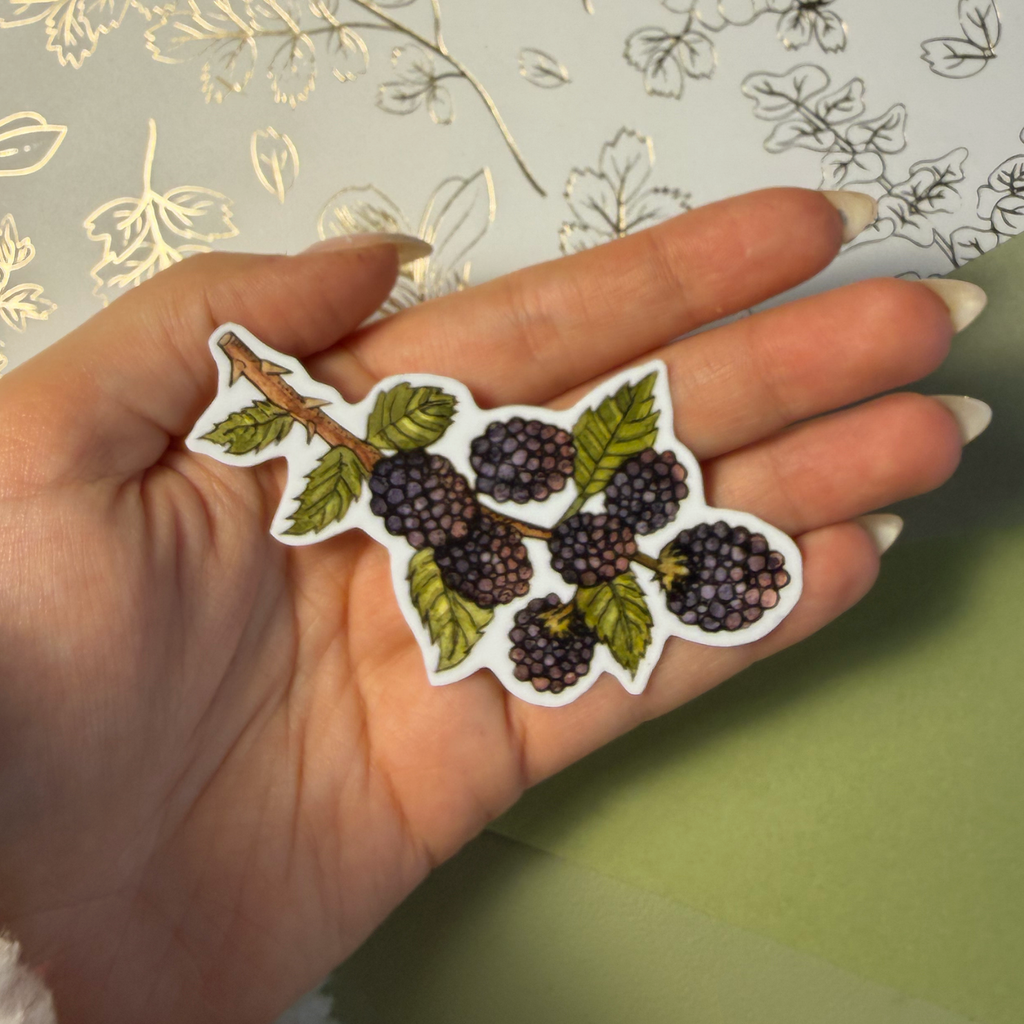 Blackberry | Sticker