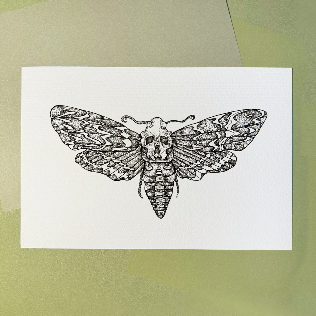 Moth | Print