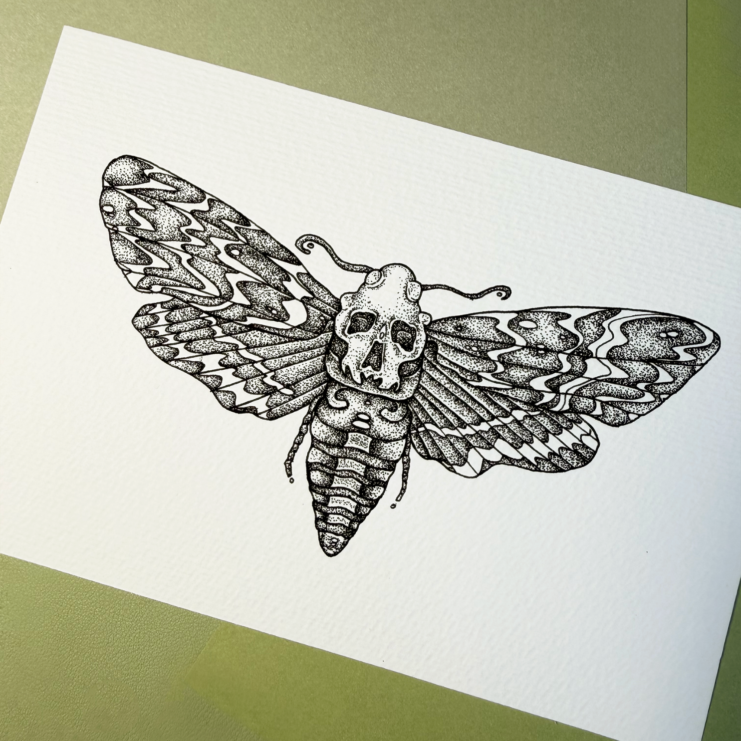 Moth | Print