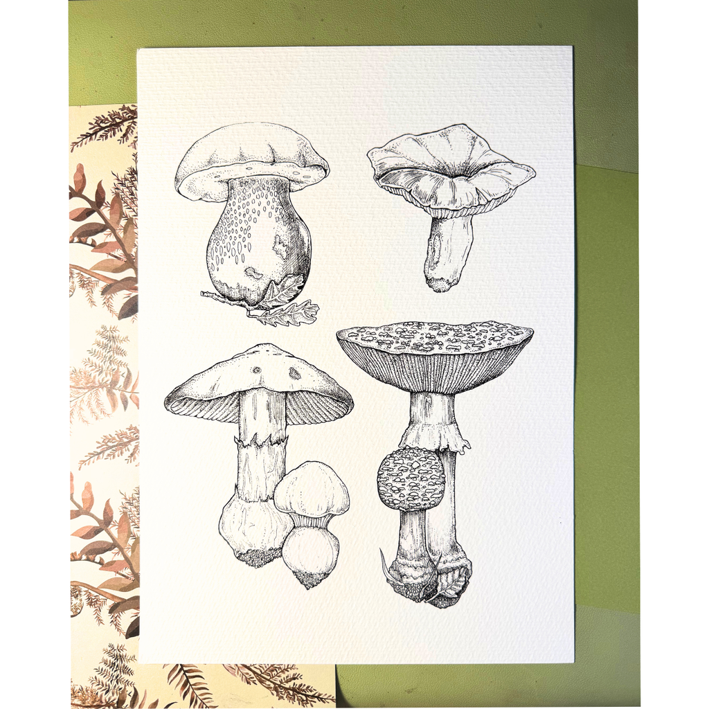 Botanical Mushrooms | Print