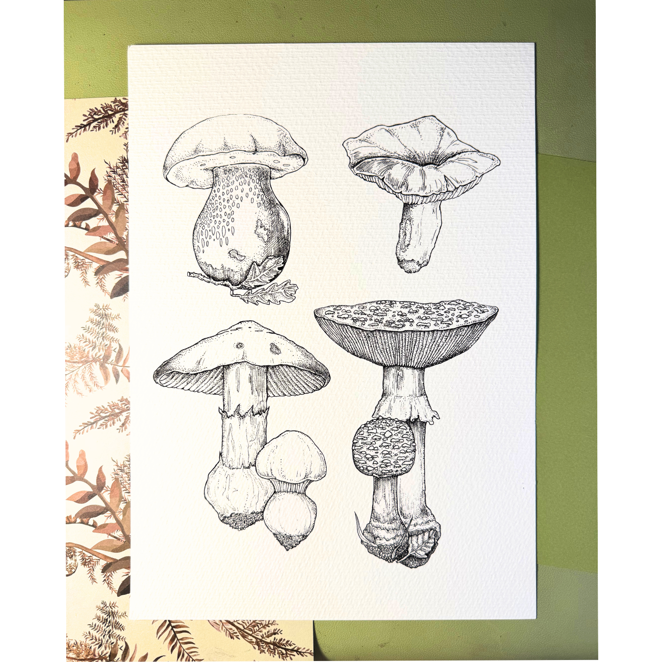 Botanical Mushrooms | Print
