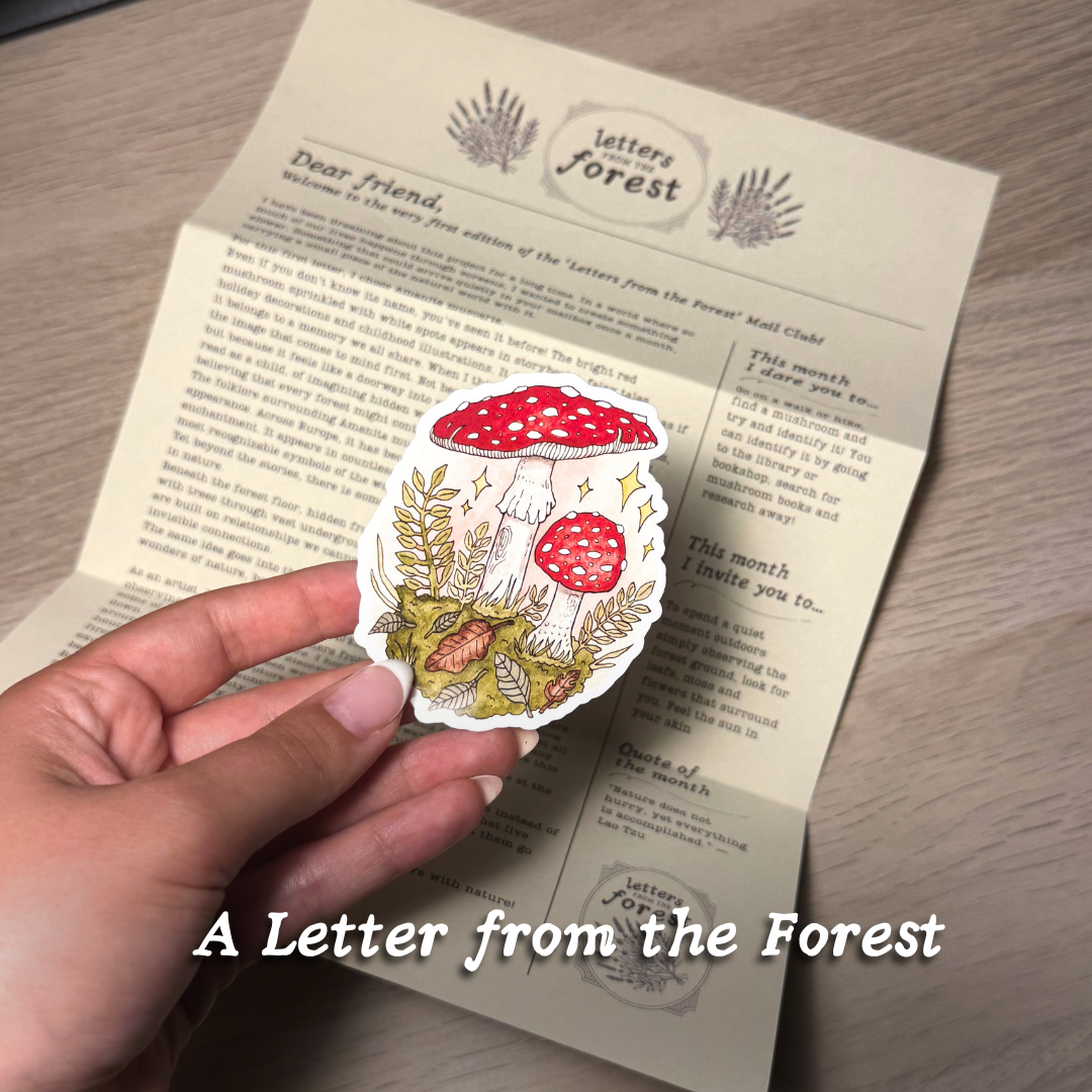 Letters from the Forest 🌿 | Mail Club .✦ ݁˖