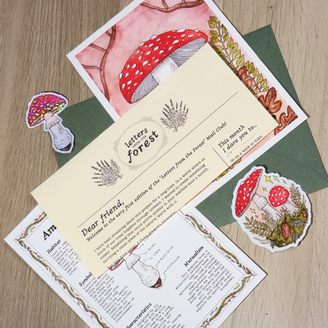 Letters from the Forest 🌿 | Mail Club .✦ ݁˖
